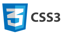 css3