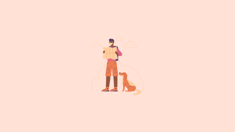 How To Get an Airline Approval to Travel with Your Pet?