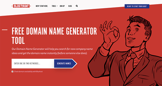 Pick Your Blog/ Site Name